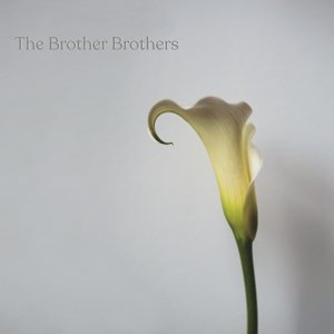 Brother Brothers - Calla Lily The Brother Brothers