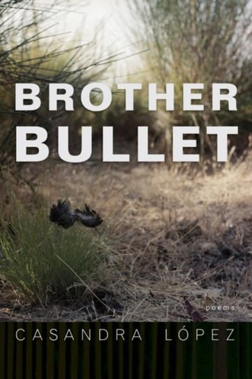 Brother Bullet: Poems Casandra Lopez