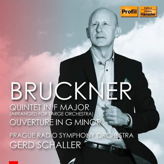Bruckner/Quintet In F Major Various Artists