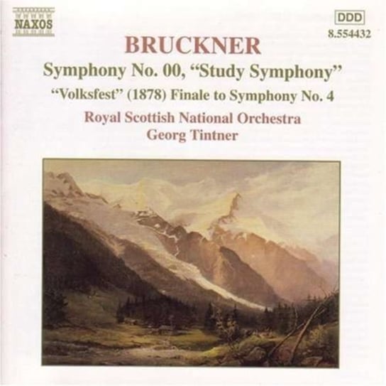 Bruckner: Symphony No. 00 "Study Symphony" / "Volkfest" (1878) Finale To Symphony No. 4 Tintner Georg
