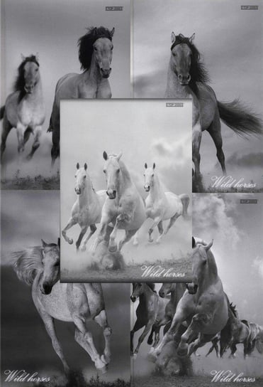 Brulion w kratkę, A4, Wild Horses Hamelin