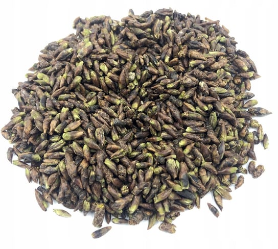Brzoza Pączki Brzozy Gemmoterapia 250 G Naturalny NATURALNY.SKLEP.PL