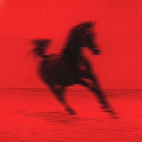 Buck Red Rum Club