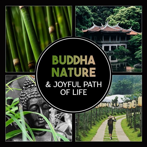 Buddha Nature & Joyful Path of Life – Touch of Healing, Meditation, Spiritual Teaching, Mindfulness Activities for Inner Peace, Energy Zen Flow Guided Meditation Music Zone