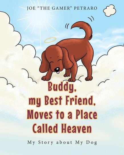 Buddy, my Best Friend, Moves to a Place Called Heaven The Gamer" Petraro Joe "