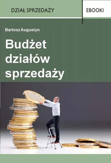 Budżet działów sprzedaży Augustyn Bartosz