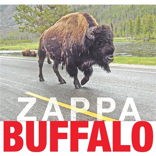 Buffalo Frank Zappa