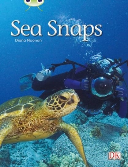 Bug Club Independent Non Fiction Year 1 Green A Sea Snaps Noonan Diana