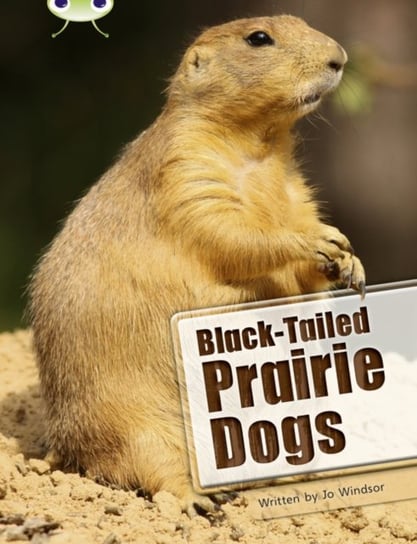 Bug Club Independent Non Fiction Year Two White B Black-tailed Prairie Dogs Windsor Jo