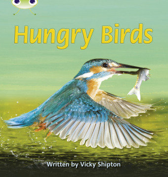 Bug Club Phonics Non Fiction Year 1 Phase 5 Set 23 Hungry Birds Shipton Vicky