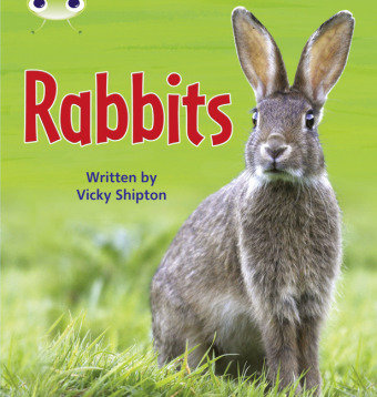 Bug Club Phonics Non Fiction Year Two Phase 5 Set 27 Rabbits Shipton Vicky