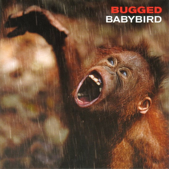 Bugged Babybird
