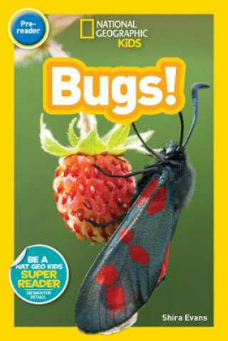 Bugs. National Geographic Kids Readers Evans Shira