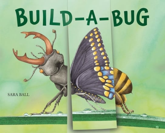 Build-a-Bug Sara Ball