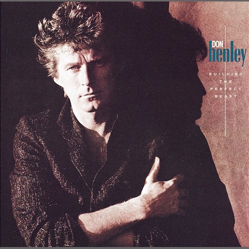 Building The Perfect Beast Don Henley