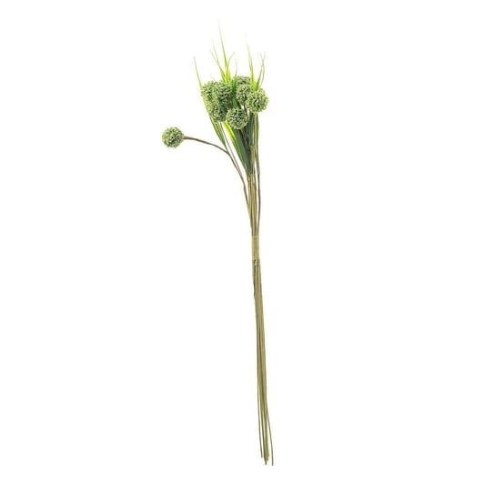 Bukiet Wild Garlic 50cm, 50 cm Dekoria