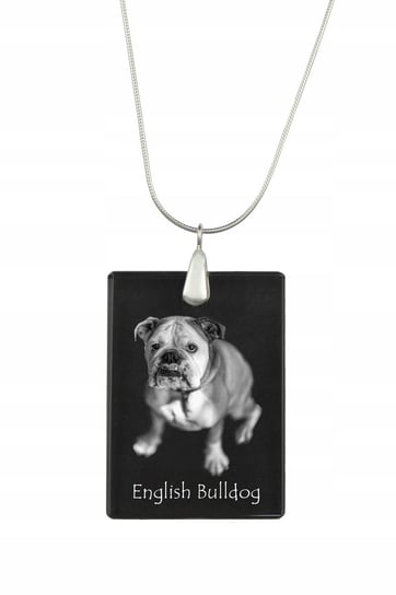 Buldog angielski Kryształowy naszyjnik z psem Inna marka