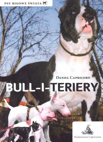 Bull-i-teriery Capricorn Daniel