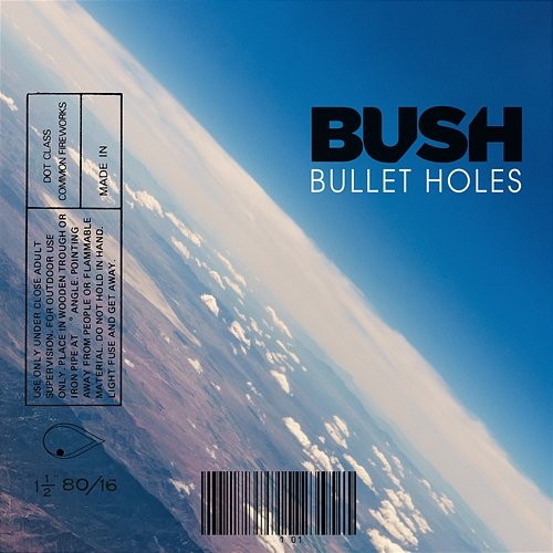 Bullet Holes Bush