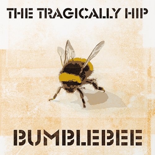 Bumblebee The Tragically Hip