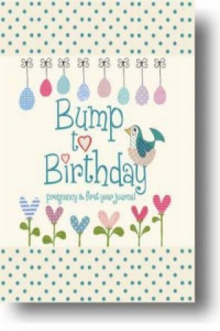 Bump to Birthday, Pregnancy & First Year Journal Stephens Helen
