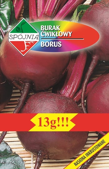 Burak ćwikłowy Borus 13 g SPÓJNIA Inna marka
