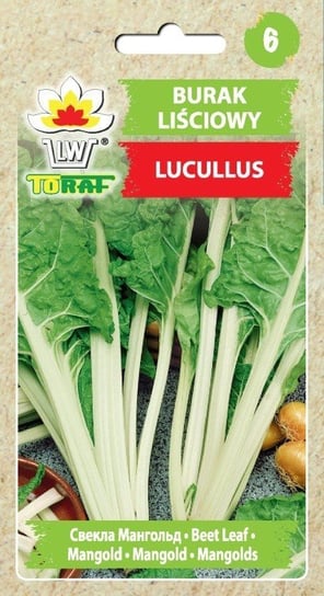 Burak liściowy LUCULLUS (zielony)
Beta vulgaris var. cicla Toraf