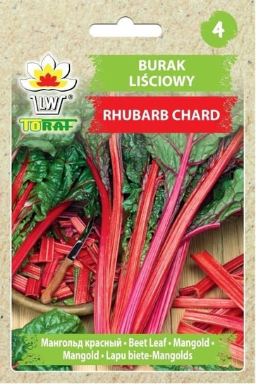 Burak liściowy RHUBARB CHARD (czerwony)
Beta vulgaris var. cicla Inna marka