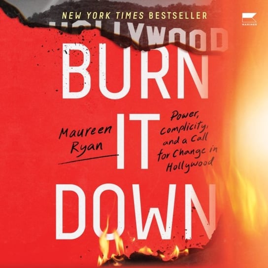 Burn It Down - audiobook Ryan Maureen