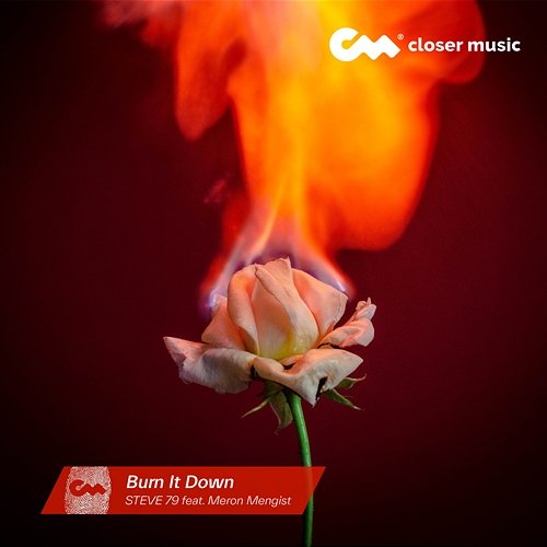 Burn It Down Steve 79 feat. Meron Mengist