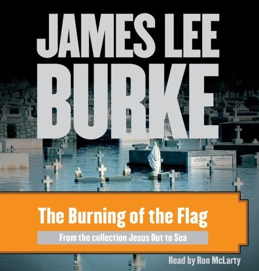Burning of the Flag Burke James Lee
