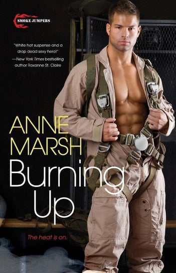 Burning Up Marsh Anne