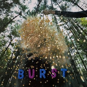 Burst, płyta winylowa Snarls