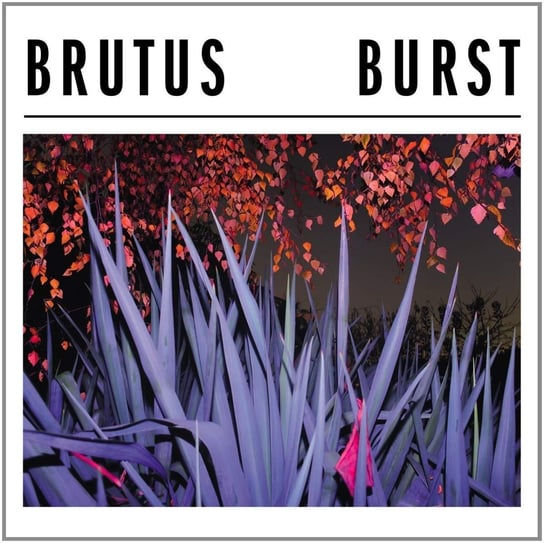 Burst, płyta winylowa Brutus