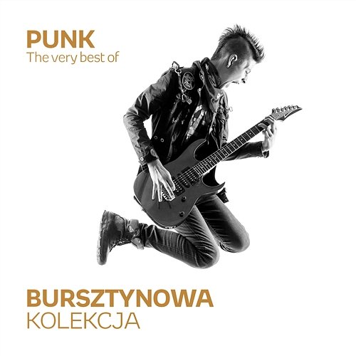 Bursztynowa Kolekcja - The Very Best of Punk Various Artists