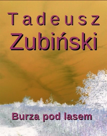 Burza pod lasem Zubiński Tadeusz