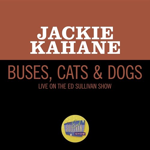Buses, Cats & Dogs Jackie Kahane