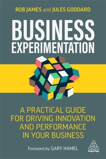 Business Experimentation: A Practical Guide for Driving Innovation and Performance in Your Business Rob James