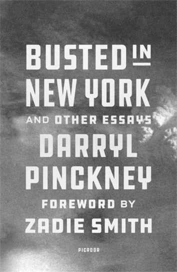 Busted in New York & Other Essays: with an introduction by Zadie Smith Darryl Pinckney