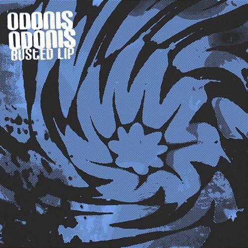 Busted Lip Odonis Odonis