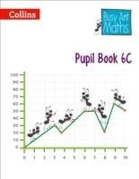 Busy Ant Maths - Pupil Book 6c Roberts Sandra, Power Jo, Mumford Jeanette A., Glithro Linda, Jurgensen Elizabeth