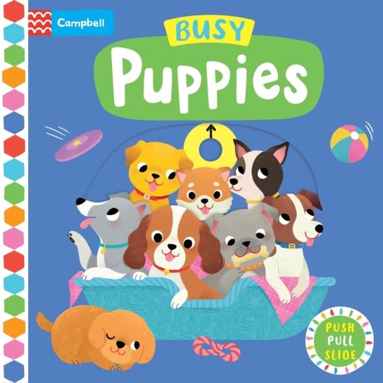 Busy Puppies Books Campbell
