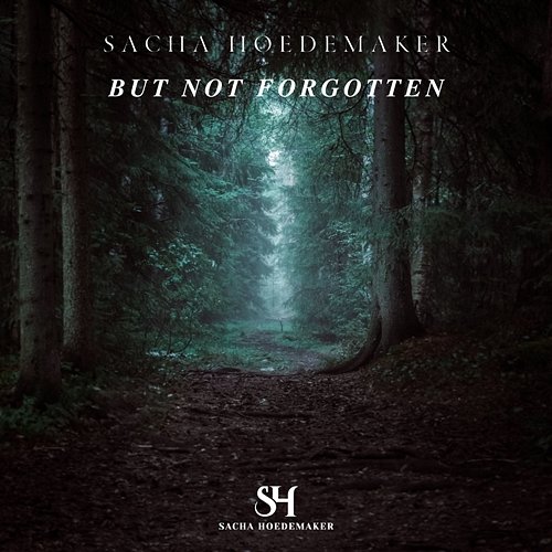 But Not Forgotten Sacha Hoedemaker