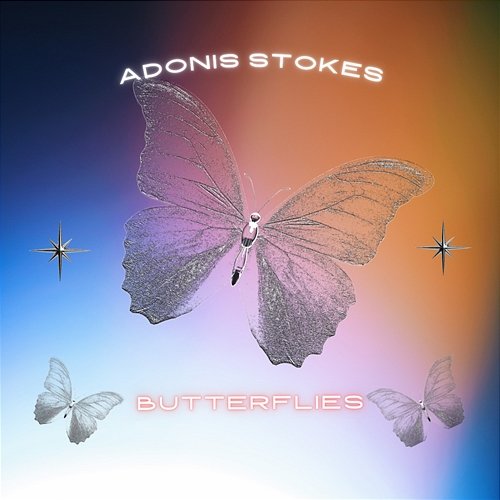 Butterflies Adonis Stokes
