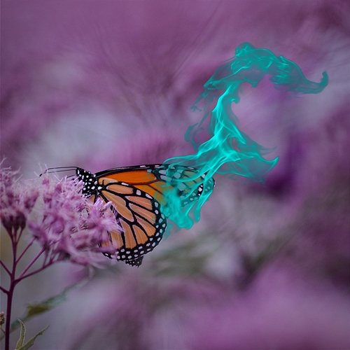 Butterfly ( ) Wülf Boi feat. LuX, Maven, McGwire