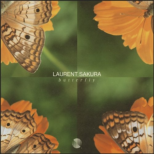 Butterfly Laurent Sakura