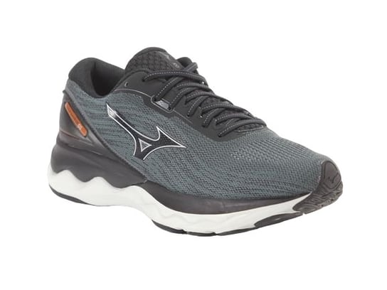 Buty męskie Mizuno Wave Skyrise 3 do biegania-46 Mizuno