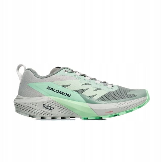 Buty trekkingowe Salomon SENSE RIDE 5 W L47314100 38 Salomon