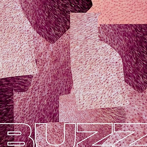 Buzz Comanavago