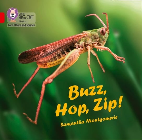 Buzz, Hop, Zip! Big Book Samantha Montgomerie